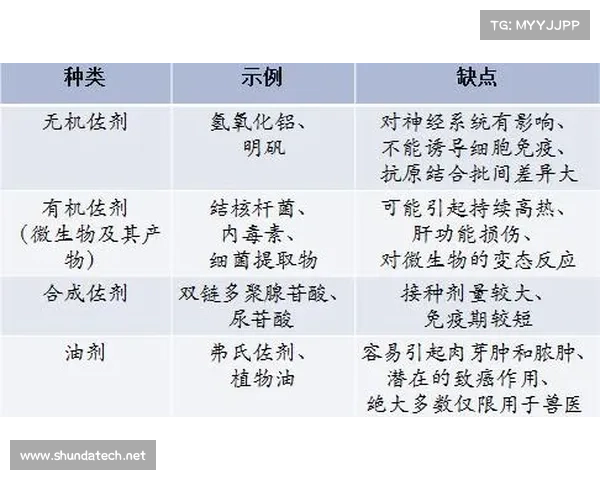 强化系统概率影响因素的五大关键要素及其相互关系分析 强化系统概率影响因素的五大关键要素及其相互关系分析